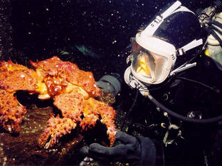 Pacific Undersea Gardens © Pacific Undersea Gardens
