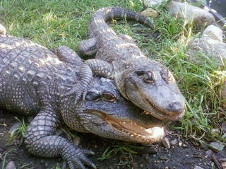 Der Bramble Park Zoo in South Dakota © Bramble Park Zoo
