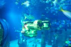 Lego U-Boot im Atlantis by SEA LIFE